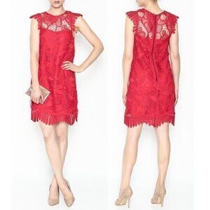 BB Dakota RSVP Red Lace Bodycon Lowe Dress Sz 2